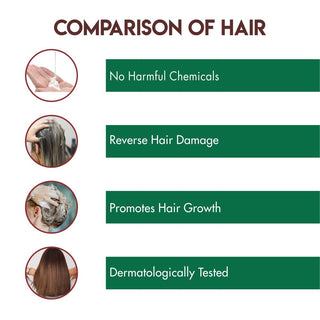 Jovees Argan Kernal Oil Hair Repair Shampoo | Strengthens | Repairs