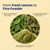 Natural Indigo Powder