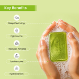 Anti-Acne & Pimple Soap with Basil & Turmeric | For All Skin Type