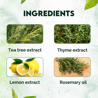 Jovees Thyme & Tea Tree Anti Dandruff Shampoo | All Hair Types